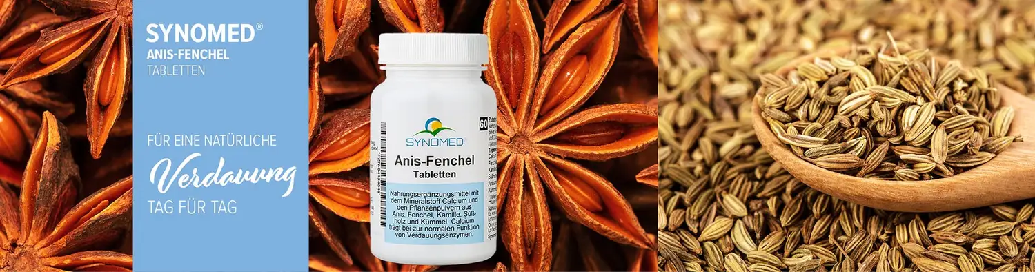 Banner: Anis-Fenchel-Mischung, Kräuter und Samen. Text mit 96 dpi.